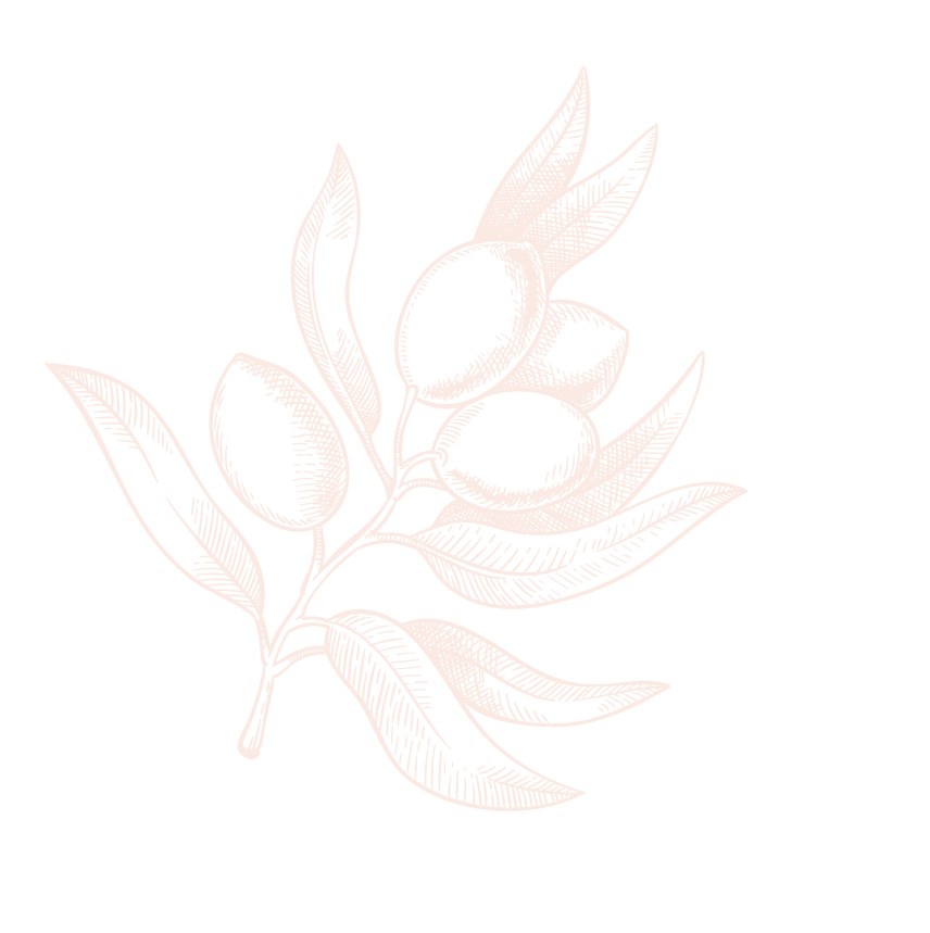 Hintergrund Bild eines Olivenzweiges